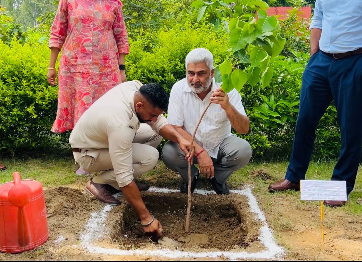 पौधारोपण अभियान को मिल रही गति, वन एवं वन्यजीव संरक्षण मंत्री लाल चंद कटारूचक्क मैदान में सक्रिय